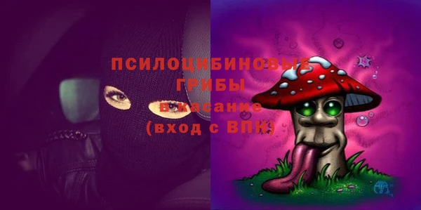 индика Елизово