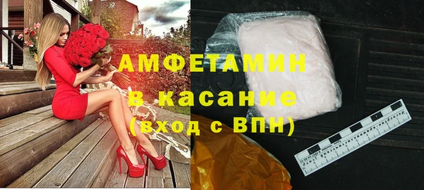 индика Елизово