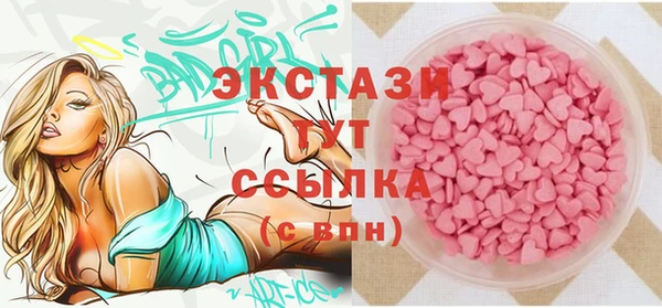 индика Елизово